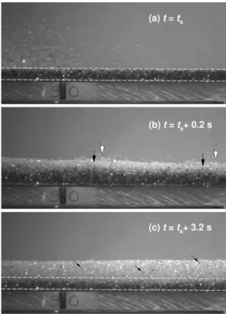 Figure 20. Snapshots of the granular mass made of white particles flowing over an erodible bed of thickness h i = 5 mm made of black particles at inclination angle  = 25.4°