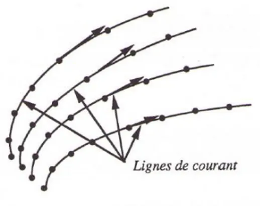Figure 2 : Lignes de courant 