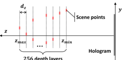Figure 2: Numerical propagation of light scattered by the scene towards the hologram plane, side view.