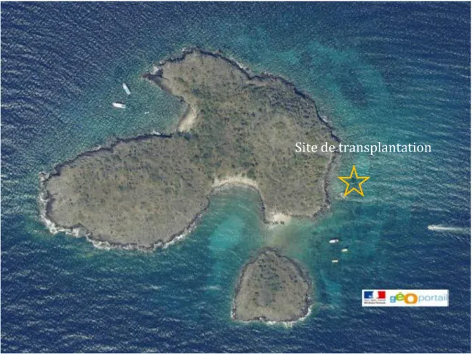 Figure 8 : Emplacement du site d’expérimentation aux îlets Pigeon. 