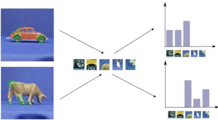 Figure 5. Exemple de reconnaissance utilisant des patchs de l'objet (11) : chaque point d'intérêt est associé à un mot visuel,  puis  un  histogramme  indiquant  la  répartition  des  mots  visuels  dans  l’image  est  calculé