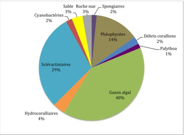 Figure  3 :  Occupation  des  fonds  par  les  différents  groupes  d’organismes  benthiques  (ensemble  des  quadrats et des années)