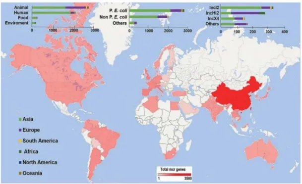 Figure 12. The prevalence of mobile colistin resistance (mcr) have been identified in  various countries 