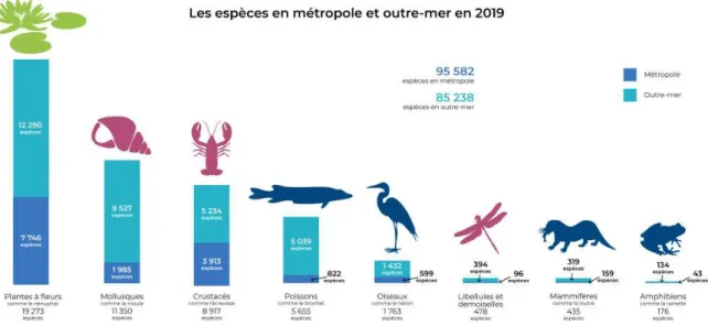 Figure 7 : Répartition des espèces d'eaux douce et marine en France métropolitaine et en outre-mer en 2019  (Eau France, 2020b) 