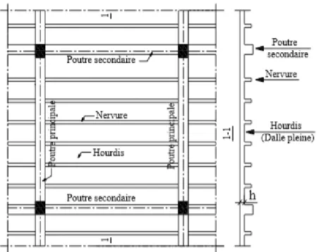 Figure 3.6 : Plancher nervuré 