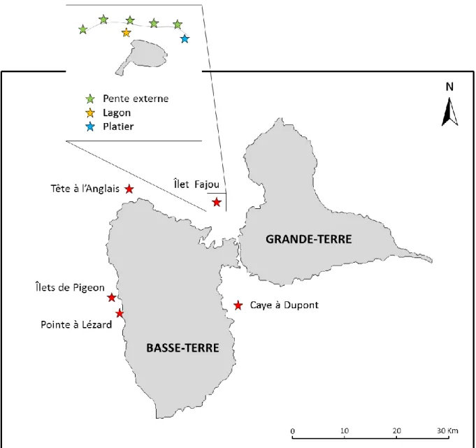 Figure 1 Carte des sites d’échantillonnage d’Acropora  en Guadeloupe. 