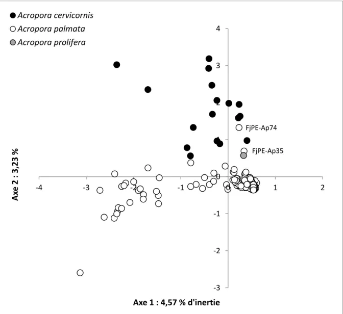 Figure  3  Analyse  factorielle  des  correspondances  (AFC)  représentant  l’ensemble  des  individus  d’Acropora  à  partir des allèles retrouvés aux différents loci pour chacun des génotypes multi-locus (MLG).