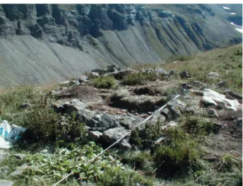 Fig. 16.3. Pastoral medieval hut in Champsaur (France). Image: 