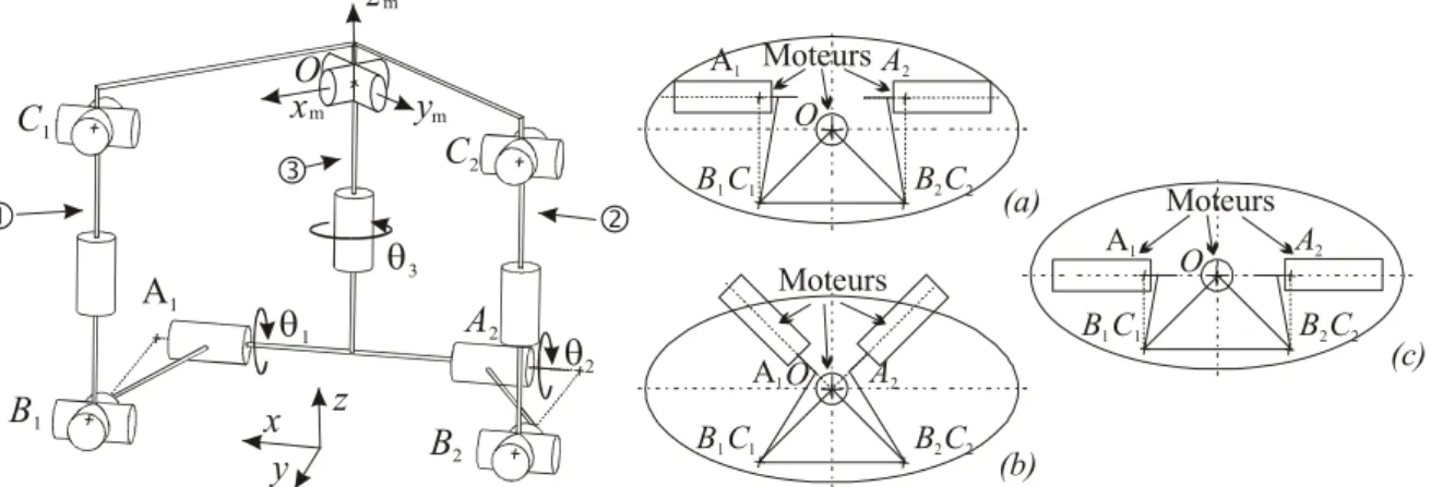 Figure 5 -   Modélisation  des  vertèbres  basée  sur une architecture parallèle et son placement  dans l’enveloppe elliptique 