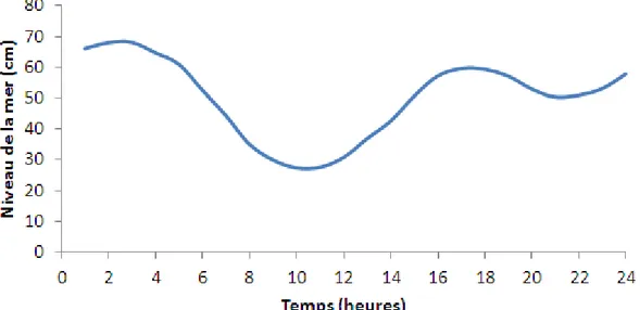 Figure 21. Evolution horaire du niveau de la mer à Pointe à Pitre au cours d'une journée  type (3 janvier 2011)
