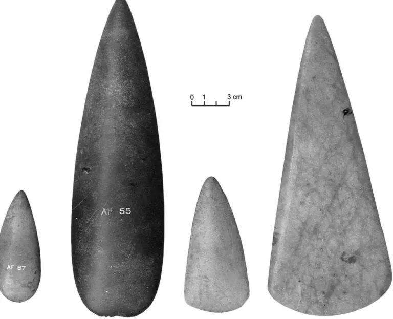 Figure 22.1  Four examples of polished Alpine axeheads from Scotland and the Isle of Man