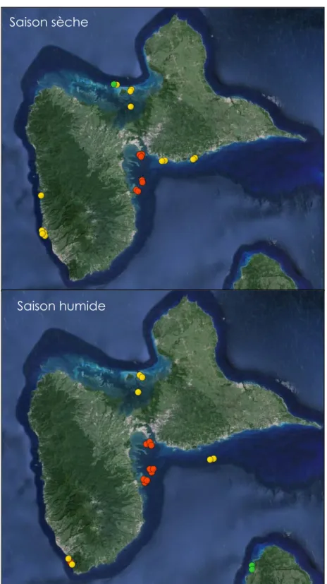 Figure 5 : Résultats des concentrations en chlordécone mesurées dans les poissons-lions en  saison  sèche  (en  haut)  et  en  saison  humide  (en  bas)