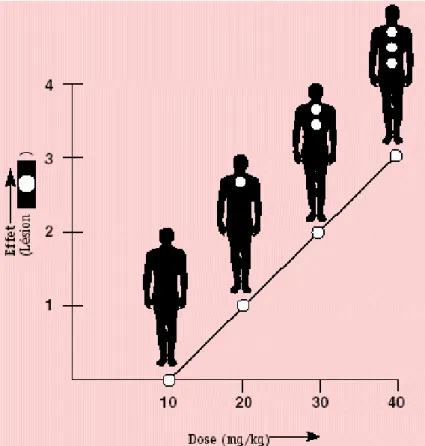 Figure III-2 : Relation entre la dose et l’effet  