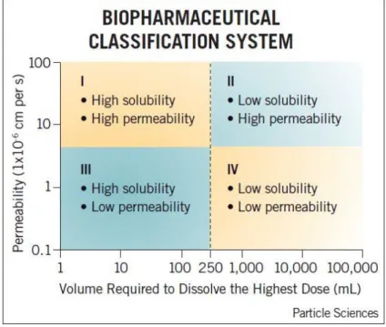 Figure VII: Biopharmaceutical classification system after oral drug delivery  