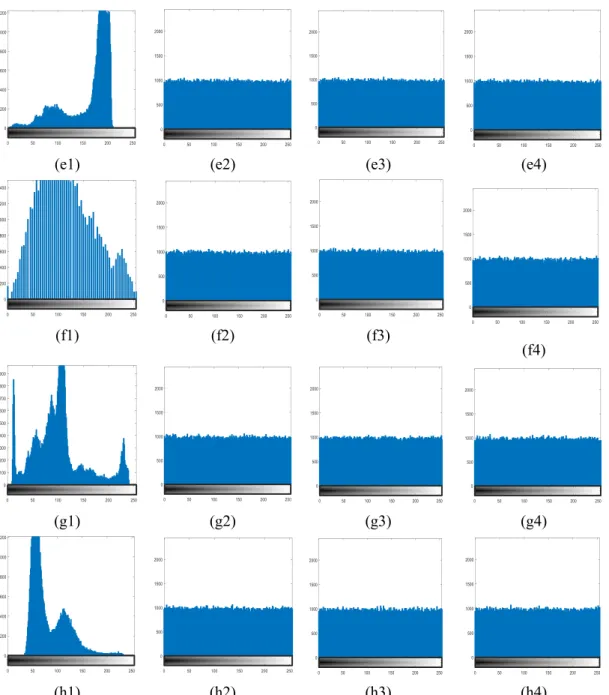 Fig. 3.5 Histograms of original images (a1) Elaine, (b1) Cameraman, (c1) Peppers, (d1) Lake, (e)  Airplane, (f) Bridge, (g) Milkdrop and (h) Lax