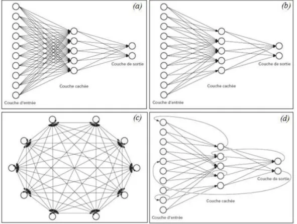 Figure II. 7 Typologies des RNA (Sorin et al, 2001) 