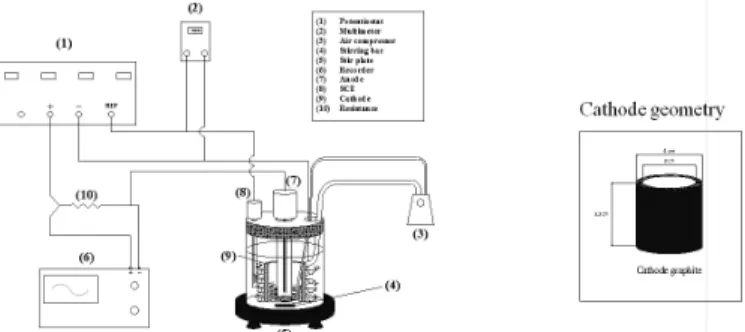 Figure 2. Experimental device for potentiodynamic test RESULTS AND DISCUSSION