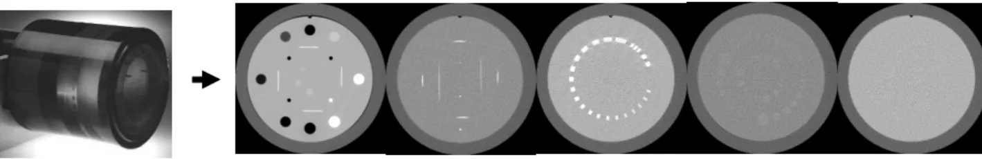 Figure 3. Sections from left to right, CTP404, CTP591, CTP528, CTP515, CTP486. 