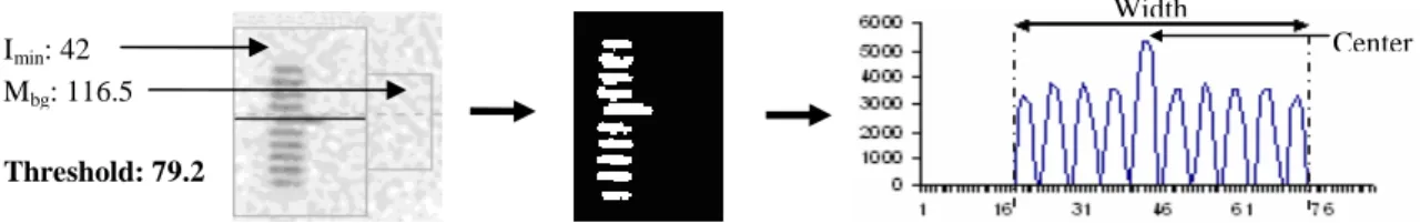 Figure 9. Slice thickness measurement: original image of the ROI (left), the same image after the threshold (middle)