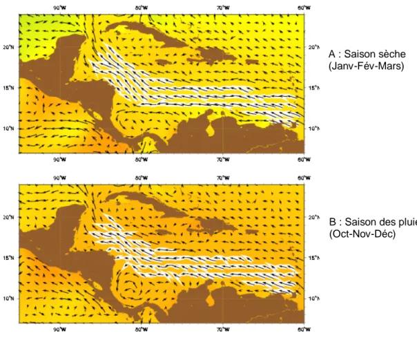 Figure 4- Courants de surface de la région Caraïbe en saison sèche (A)  et en saison des pluies (B) (Source :  http://oceancurrents.rsmas.miami.edu)