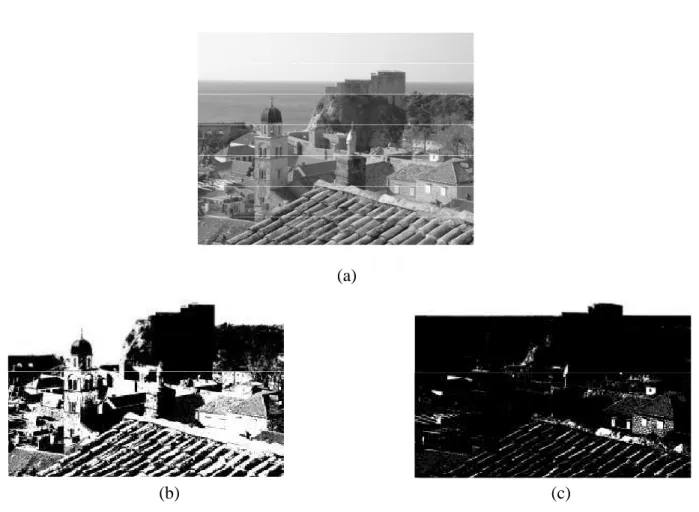 Figure I.8  Opération de seuillage. (a) : une  image originale en 256 niveaux de gris, (b) et (c)  