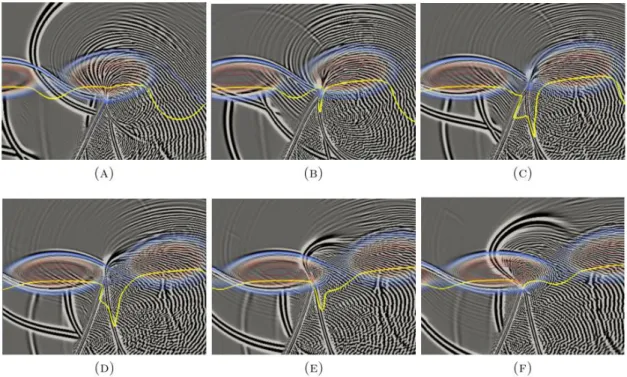 Figure 1. 9: instantaneous snapshots of shock leakage dynamic. Daviller et al. (2013)