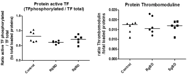 Figure 9. Expression en protéine du facteur tissulaire rénale représenté par le ratio de sa forme  activée par phosphorylation sur le facteur tissulaire  total et de la thrombomoduline