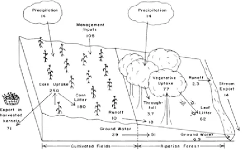 Fig. 2. 18 Total nitrogen flux from cropland to a river via a downslope forest (Peterjohn and Correll  (1984 Ecology 65: 1466-1475)