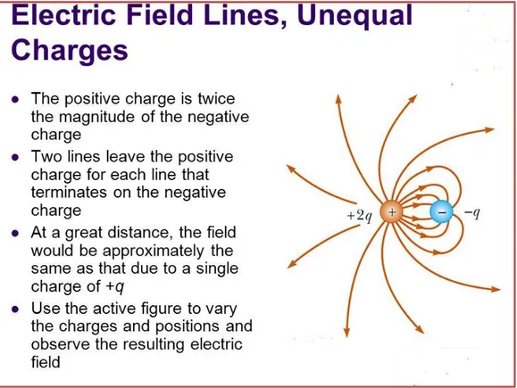 Fig II.17: Les lignes de champ crée par deux charges électrique +2 q et -q  