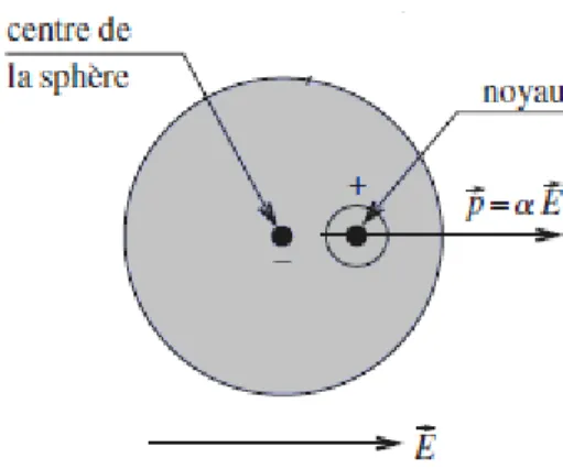 Figure II.16 Polarisation d’un atome placé dans un champ  d