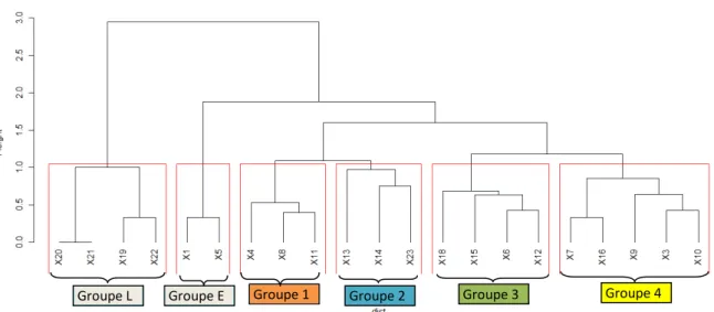 Figure 1: Résultats de la CAH sur les relevés de l’îlet Kahouanne (Distance de Jaccard,  algorithme de Ward) 