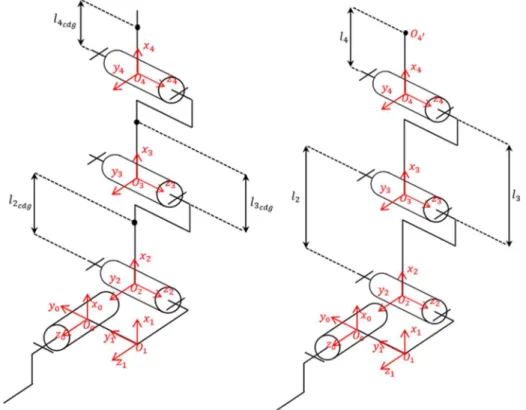 Figure 17: Schémas cinématiques de la jambe 