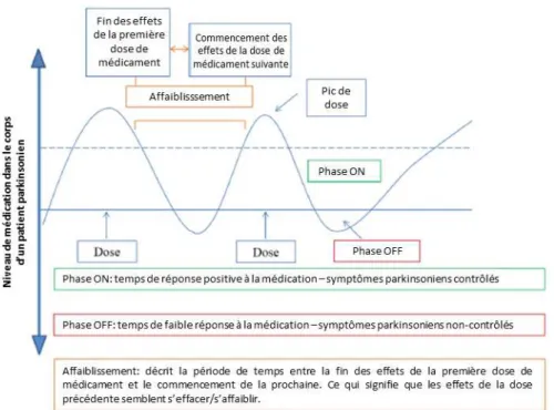 Figure  10:  Représentation  graphique  de  l'affaiblissement  typique  dans  une  journée  des  effets  de  la  médication de patients parkinsoniens