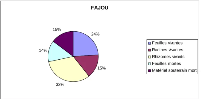 Figure 9 : Répartition de la biomasse par compartiments à Fajou. 