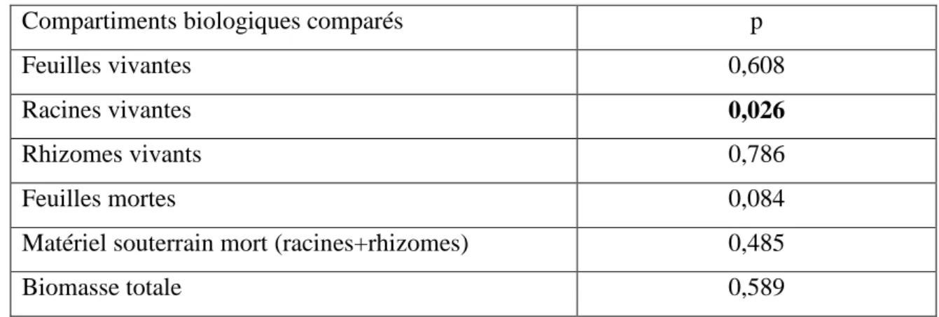 Tableau 5 : Résultat du test U de Mann et Whitney entre Fajou et la Pointe Lambis. 