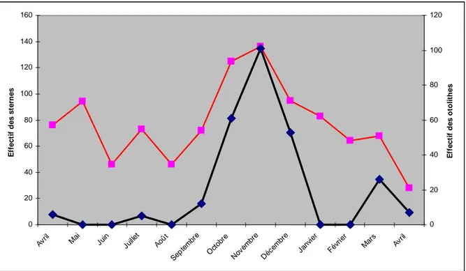 Tableau VI :  