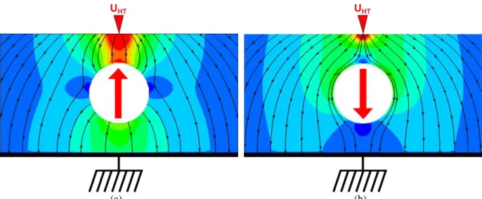 Figure 41. Particule diélectrique neutre dans un champ électrique uniforme ; sur l’image (a) la particule est 100 fois plus  polarisable que le liquide ; sur l’image (b) la particule est 100 fois moins polarisable que le liquide ; 