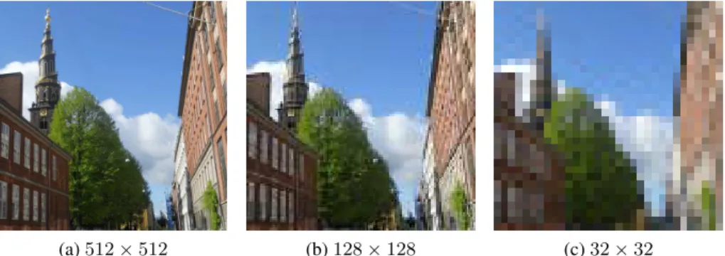 Figure 2.3 – Illustration of the impact of image sampling choices to a color im- im-age