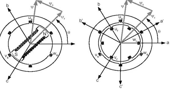 Figure II.18 : Enroulements et les flux dans une machine synchrone et dans une MADA.
