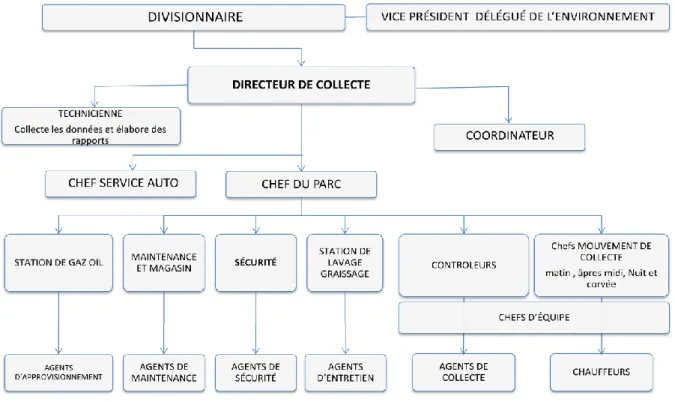 Figure 5. Organigramme structurel de la division d’hygiène et assainissement 