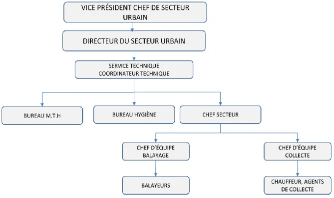 Figure 6. Organigramme des secteurs urbains 