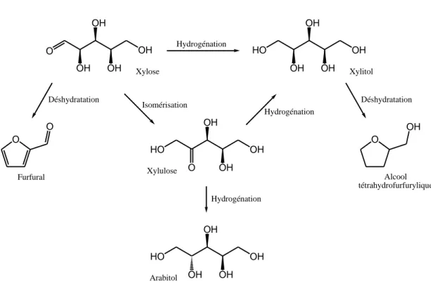 Figure 8 : Produits de réaction possibles lors de l'hydrogénation du xylose. 