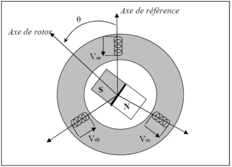 Figure I.13 : Schéma d’une machine synchrone à aimant permanent [1,12] 