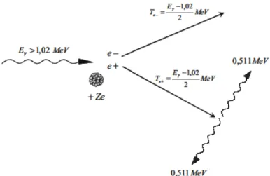 Figure I.9 : Effet de production de paires 