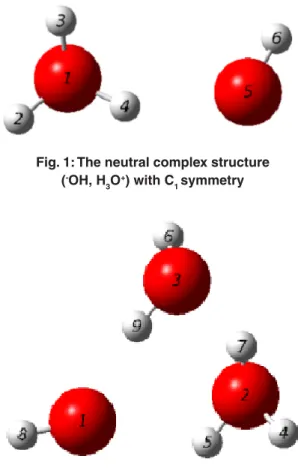 Fig. 1: The neutral complex structure ( - OH, H 3 O + ) with C 1  symmetry