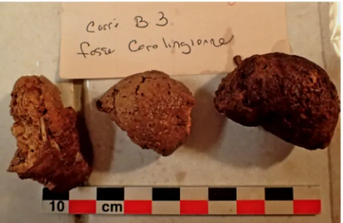 Fig. 1 : Coprolithes de la rue Dinet. Les  éléments analysés sont situés à gauche et à  droite  de la photo
