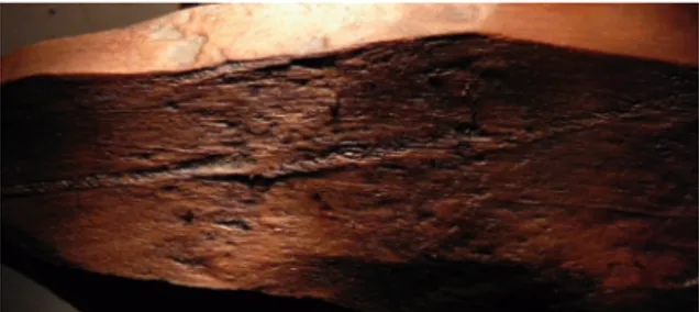 Figure  10.  Détail  d’une  mortaise  exécutée  à  la  hache  dans  l’extrémité  d’un  renfort  oblique  Plage  Pignochet (cliché C