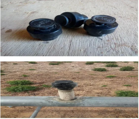 Figure I. 5.les organes d'arrosage sur pivot d'irrigation traditionnel 
