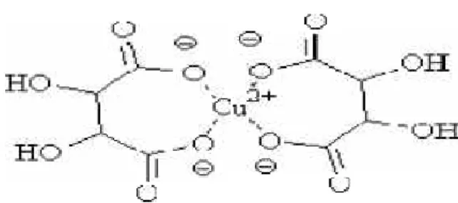 Figure 13 : Complexe cuivre (II)- tartrate