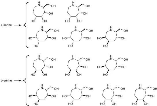 Figure 6 : composés accessibles par métathèse à partir des  L - et  D -sérines. 